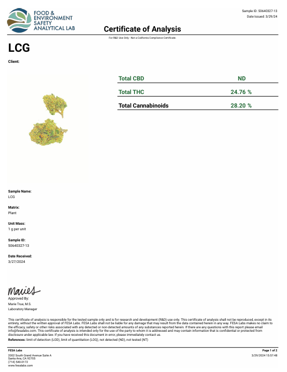 Lab Test Image