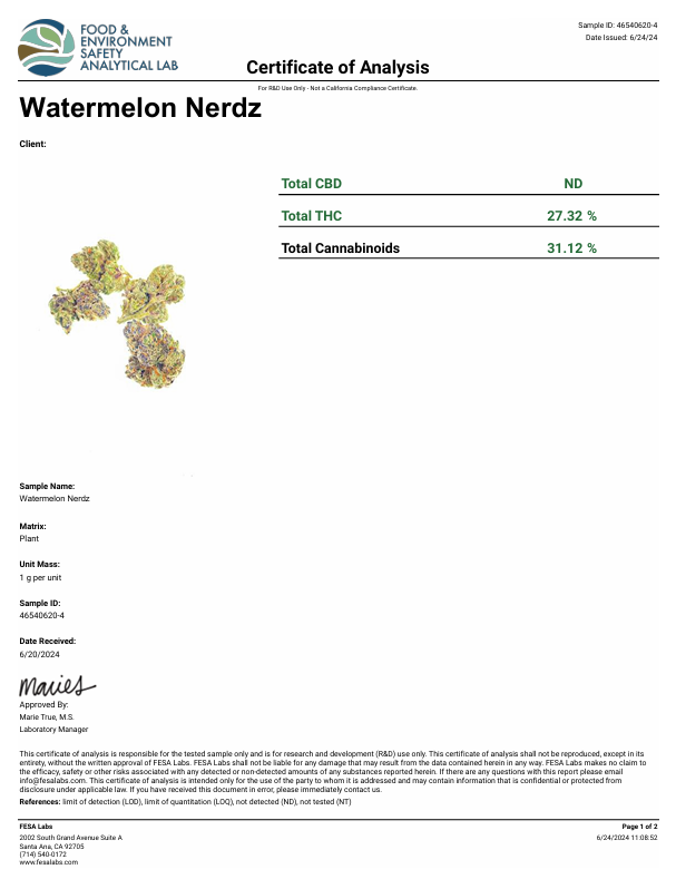 Lab Test Image