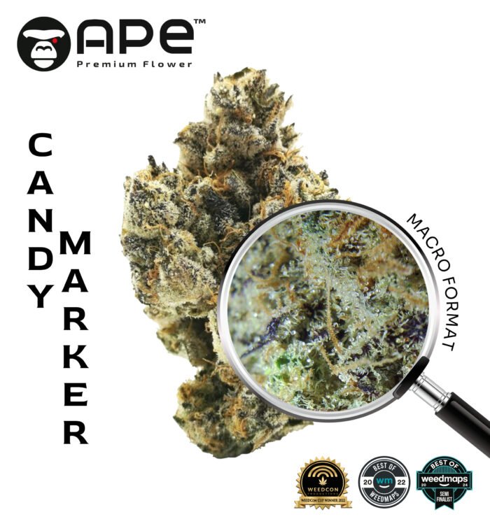 Candy Marker APE THCA Flower – Sweet, candy-flavored cannabis with high THCA potency, available for delivery