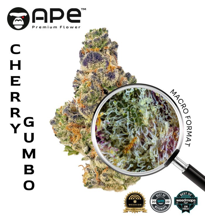 Cherry Gumbo APE THCA Flower – Premium cannabis with sweet cherry flavor and high THCA potency, available for delivery