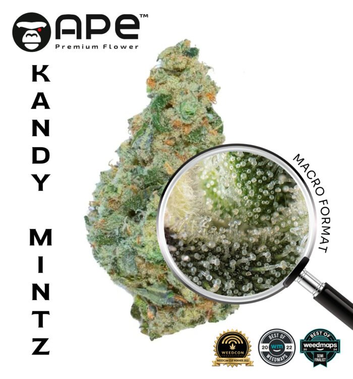 Kandy Mintz COA APE THCA Flower – Premium cannabis with minty sweetness and high THCA potency, available for delivery.