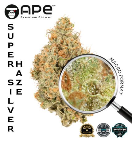 Super Silver Haze APE THCA Flower – Premium cannabis with citrus and earthy flavor, high THCA potency, available for delivery