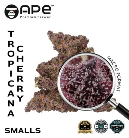 Tropicana Cherries THCA Smalls Flowers APE